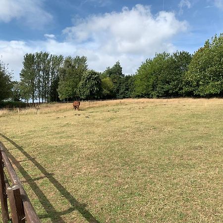 Static Mobile Home Set In Our 20 Acres Of Farmland Horspath Eksteriør billede