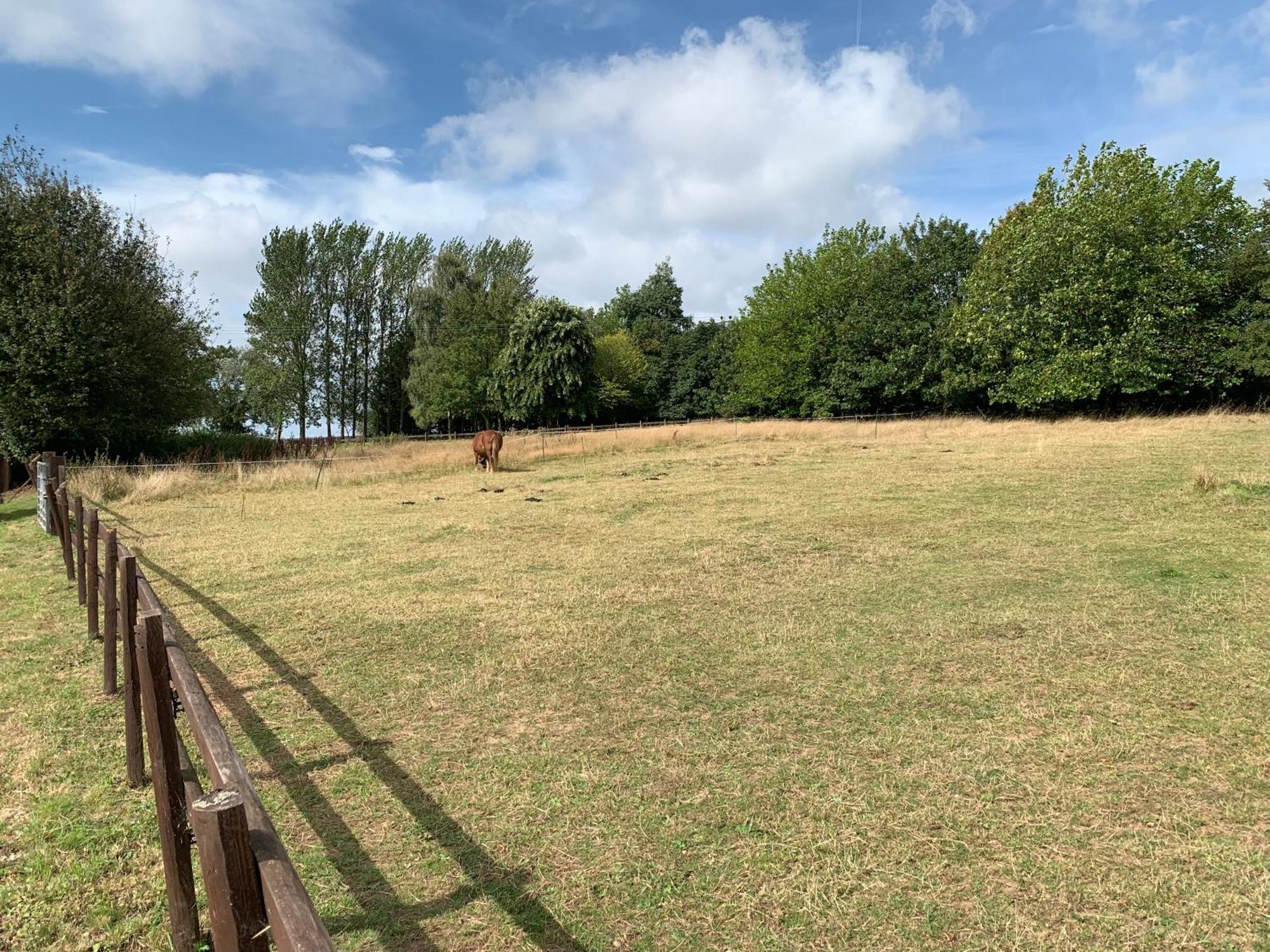 Static Mobile Home Set In Our 20 Acres Of Farmland Horspath Eksteriør billede